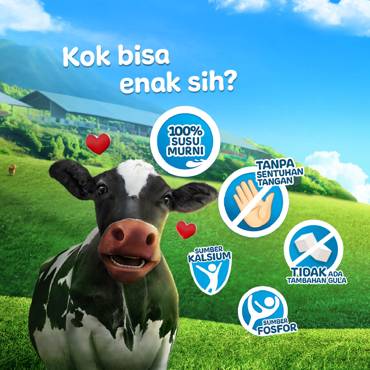 Gambar : greenfieldsdairy.com